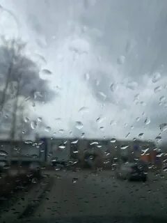 Тоже дожди