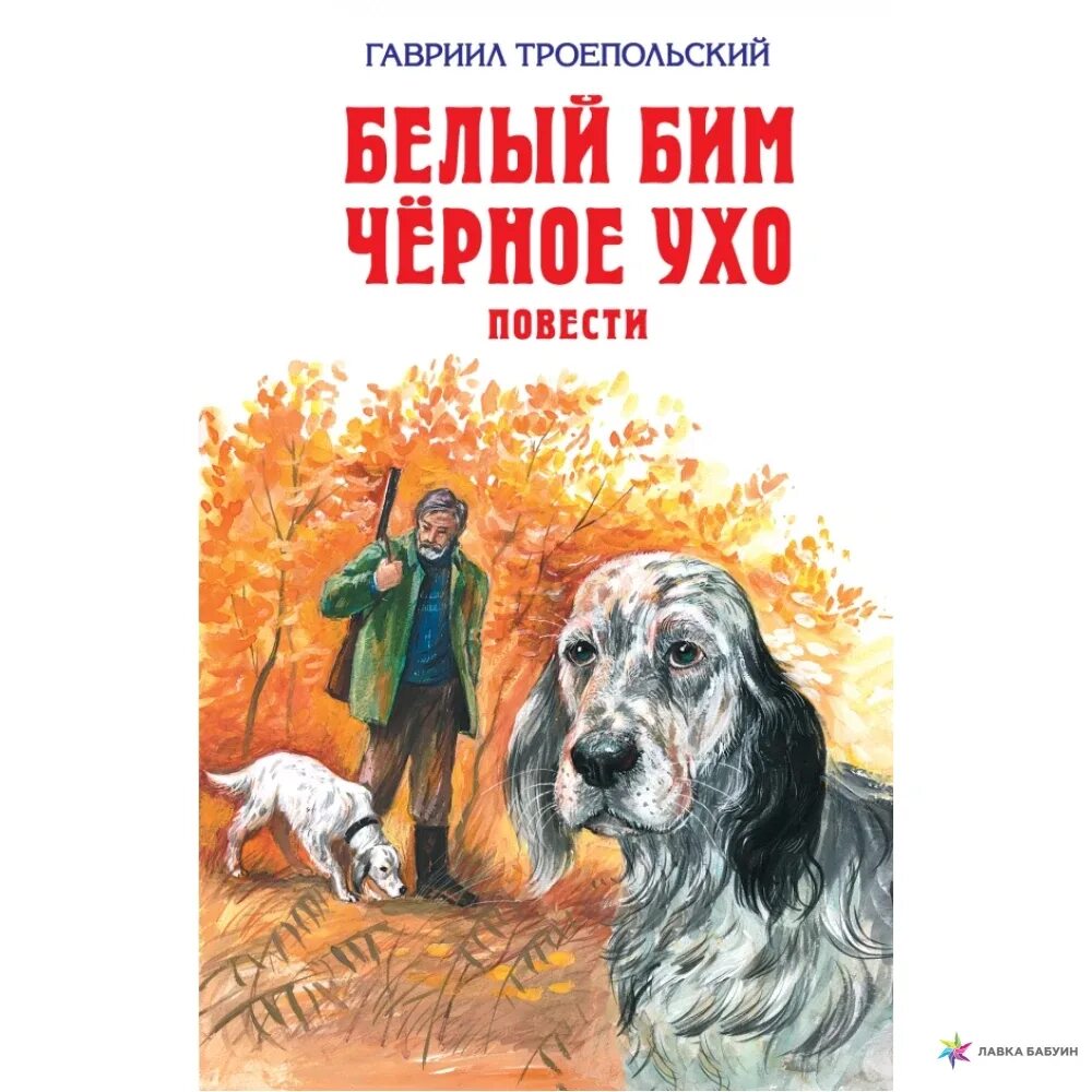 Г н троепольский белый бим черное ухо. Белое ухо кто написал. Троепольский книги. Белое ухо кто написал. Белый бим черное ухо иллюстрации.