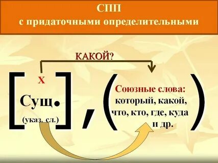 Придаточное определительное какое