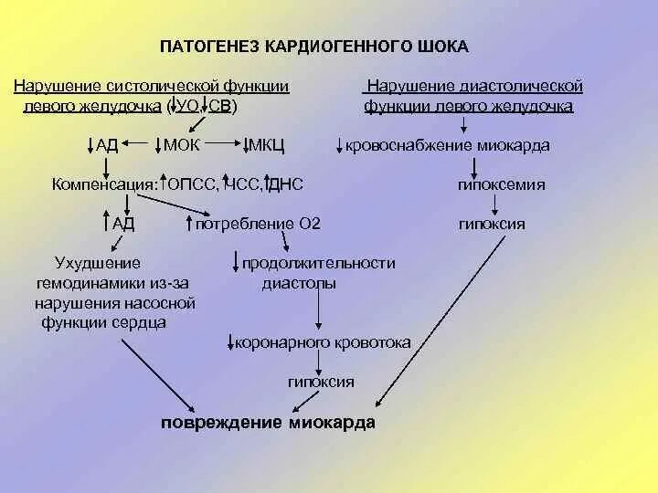 Гемодинамика шока. Механизм развития кардиогенного шока при инфаркте миокарда. Кардиогенный ШОК этиология патогенез. Патогенез кардиогенного шока при инфаркте миокарда. Кардиогенный ШОК патогенетические механизмы.