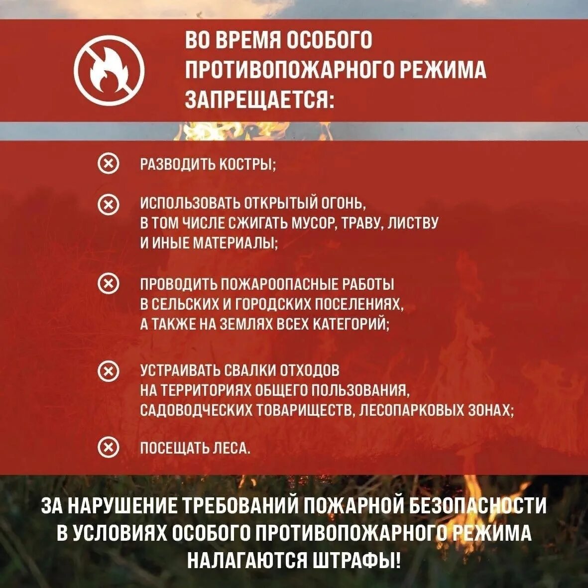 Баннер особый противопожарный режим. Внимание противопожарный режим. Особый противопожарный режим. Отменили особый противопожарный режим. Баннер особый противопожарный режим.