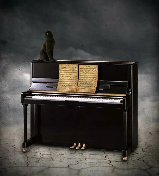 Вопрос про пианино. Фортепиано вопросы. Рояль с черными клавишами. Вопрос про рояль.