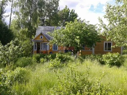 Дом в ольгино