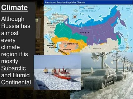 What are the russians like
