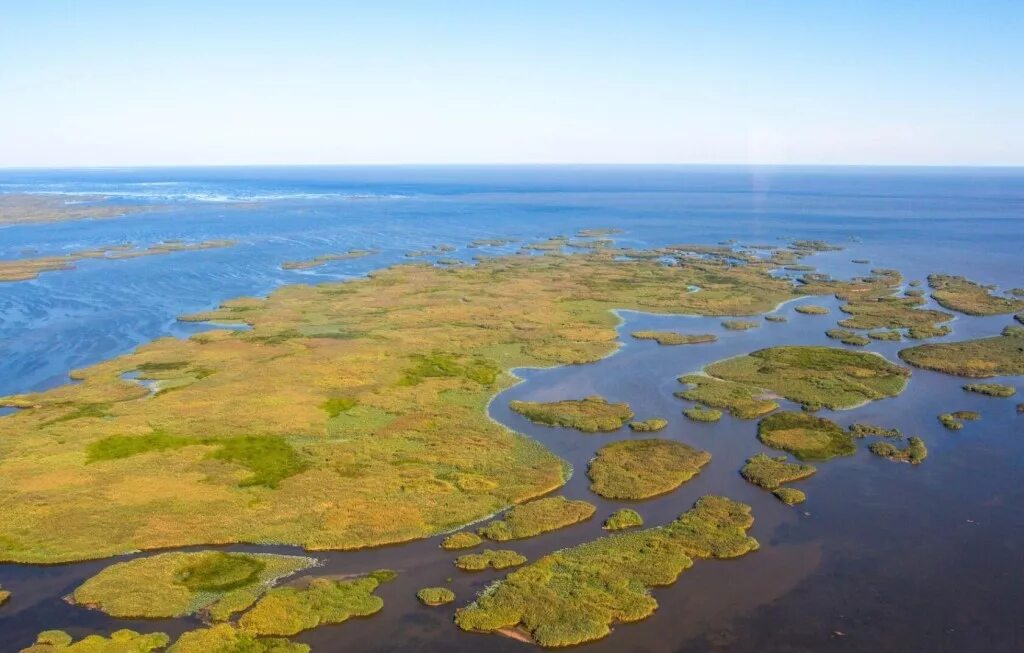 Река волга впадает в каспийское море знаки. Каспийское море Дельта реки Волга. Каспийское море Астрахань Дельта. Дельта Волги у Каспия. Дельта реки Волга в Астрахани.