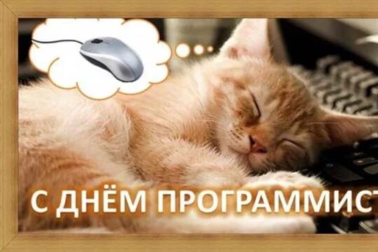 С Днем Программиста России - Страница 5 - Поздравления и пожелания - Форум Челяб