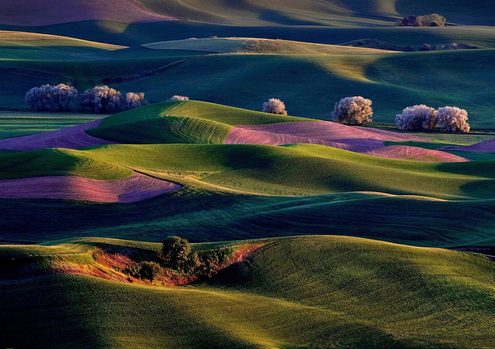 Восточные холмы. Холмы Palouse, США. Необычные пейзажи. Лучшие пейзажи. Сине-зеленый пейзаж.