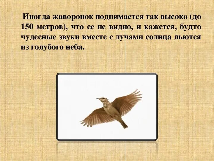 Жаворонок слова из слова. Состав слова жаворонок. Жаворонки картинки для детей. Разобрать слово по составу 3 класс примеры. Жаворонок рисунок.