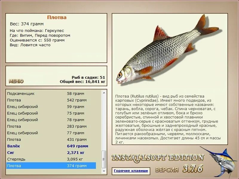 Где ловить зачетную рыбу. Озерная форель кумжа. Русская рыбалка 3 турнир озеро карп. Рр3 красивая меча усач. Русская рыбалка 3 турнир озеро карп.