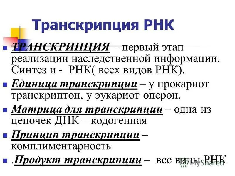 Ферменты транскрипции рнк. Перечислите ферменты, участвующие в репликации и их функции. Транскрипция ферменты и их роль. Механизм транскрипции рнк. Этапы синтеза белка рнк полимераза.