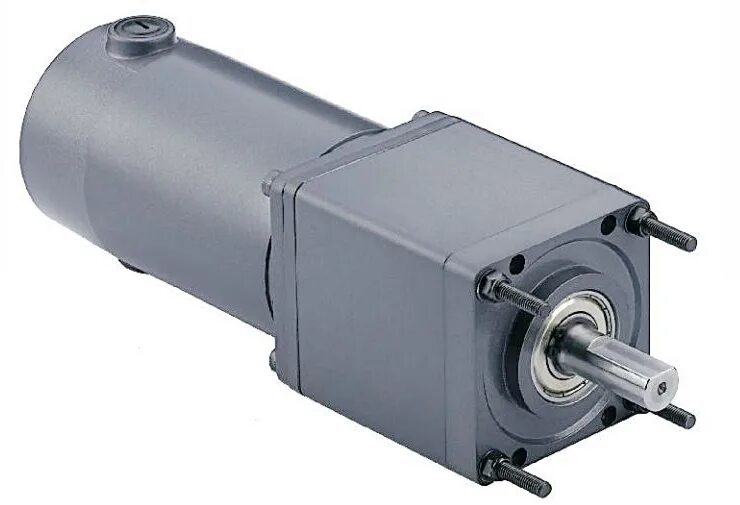 Мотор редуктор 12 вольт переменного тока червячный. Червячный мотор редуктор 24 вольта. Мотор-редуктор ig-52gm 01&02&03&04 type. Dc gearbox motor. Мотор редуктор fl86bls98.