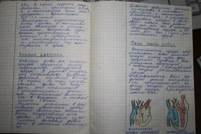 Конспект по истории в тетради. Конспект пример в тетради. Красивый почерк в дневнике. Красивый почерк в тетрад.