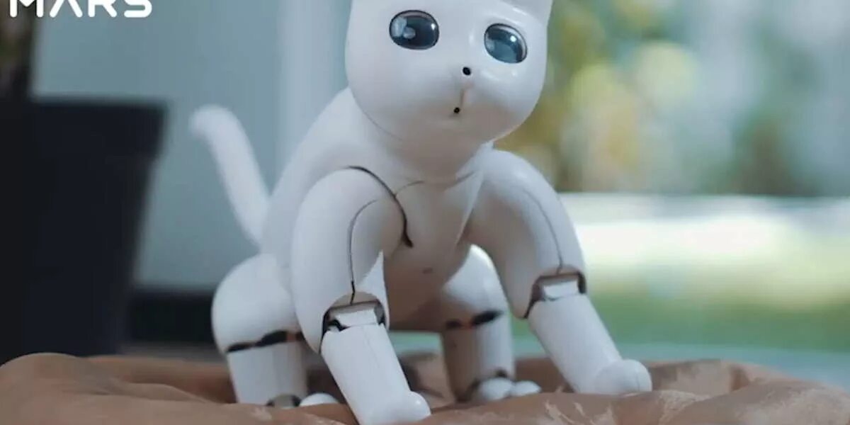 3 кота робот поневоле. Робот MARSCAT. MARSCAT робот-кошка. Бионический робот кот. Кот кот роботот кот роботот.