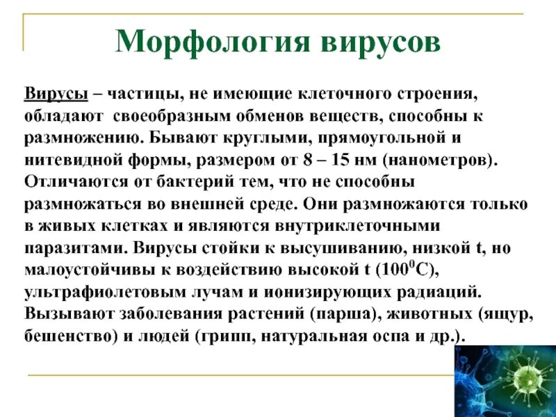 Вирусы способны к самостоятельному обмену. Морфология и структура вирусов. Строение вирусов микробиология. Особенности морфологии вирусов. Морфология вирусов микробиология.