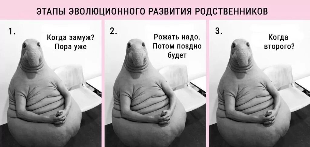 Пора рожать