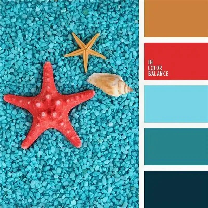 Orange Crush Color Palette Monday Orange color palettes, Orange color schemes, B