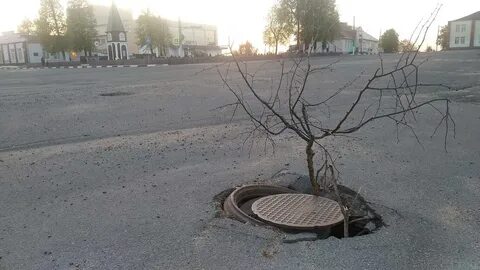 Новости беларуси могилев сегодня