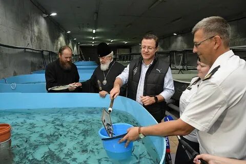 Выпустили мальков