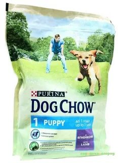 Dog chow