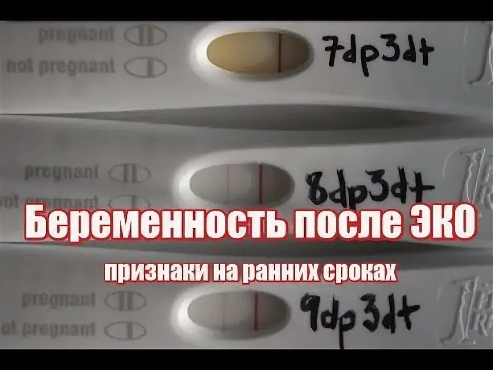 Беременность после неудачной. Тест на беременность после эко. Признаки беременности после эко. Тесты на беременность на ранних после эко. Тесты на беременность на ранних сроках после эко.