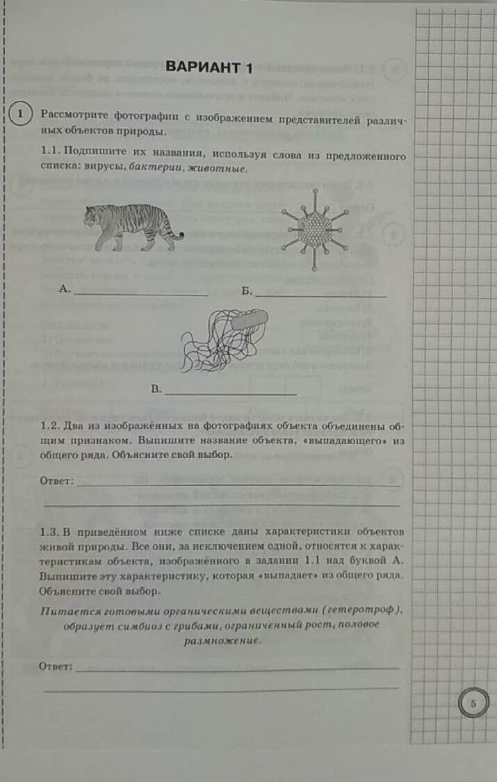 Биология впр 5 класс банникова ответы 2024