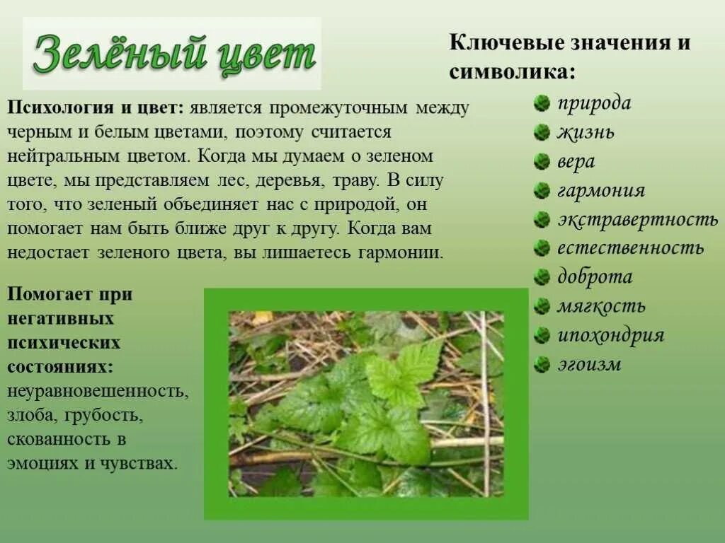 Что означает зеленый цвет. Зеленый цвет в психологии. Фрукты психология. Темно-зеленый цвет в психологии. Зелёный цвет в психологии означает.