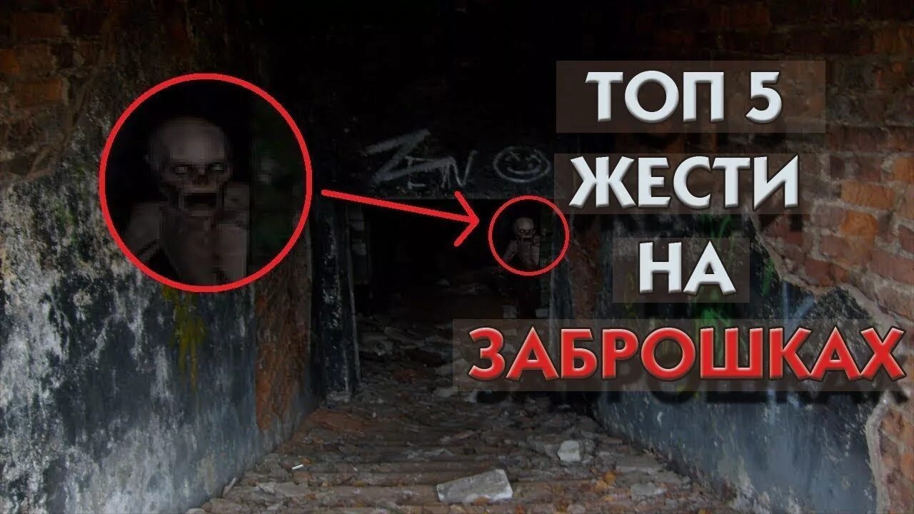 Снято дм. Снято дм
