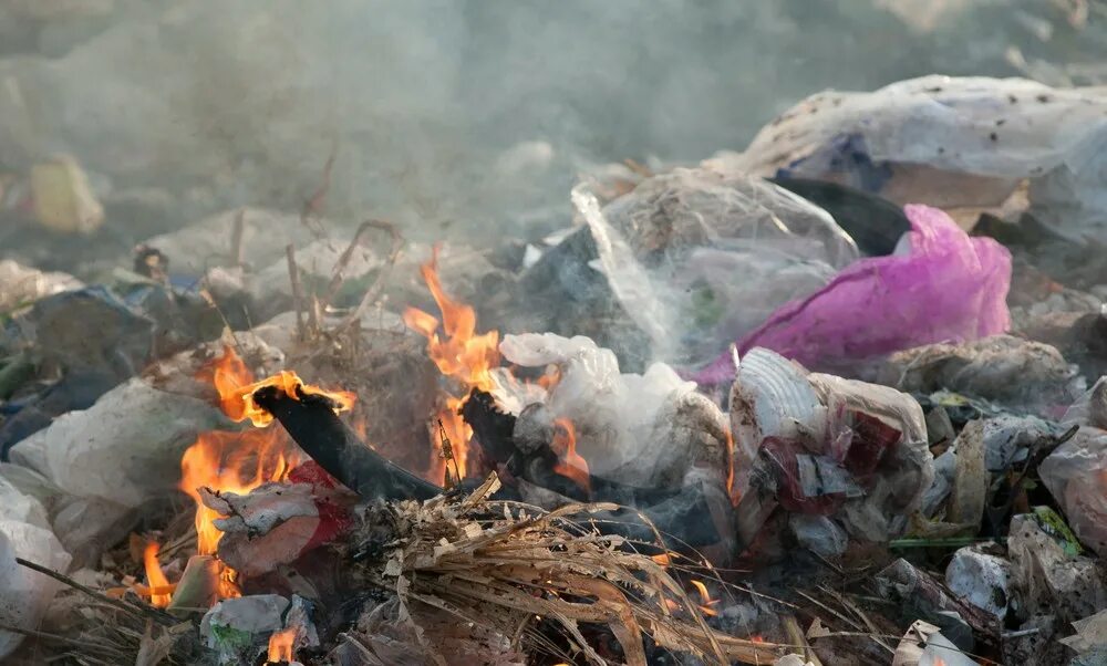Dispose of in fire