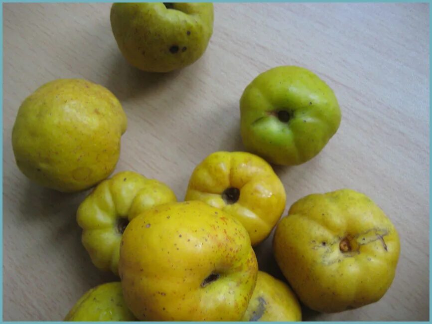 Pin by Pinner on Фрукты, ягоды и другое вкусное. Quince fruit, Food photography,