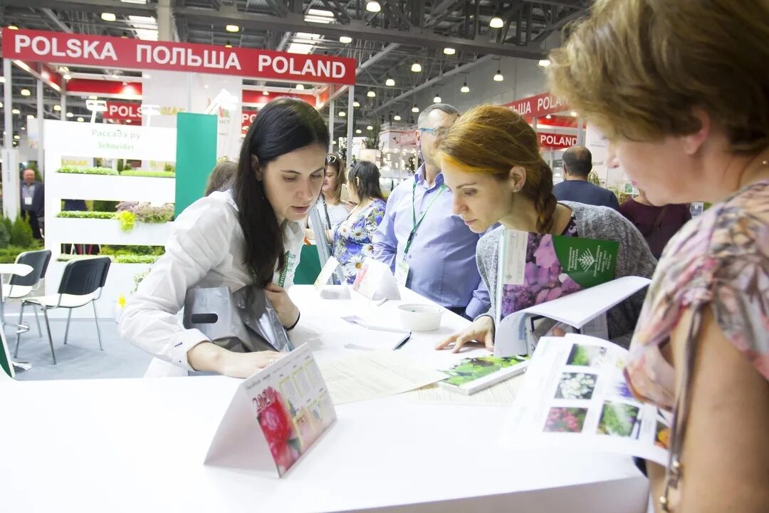 Как попасть на выставку. Как попасть на выставку