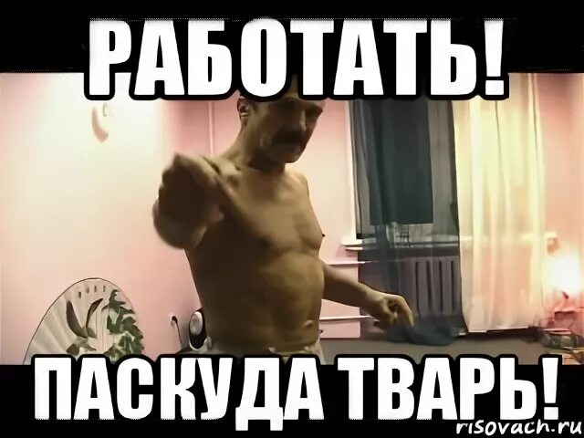 С новым годом тварь мем Почему женщины ненавидят свободных мужчин YouTube