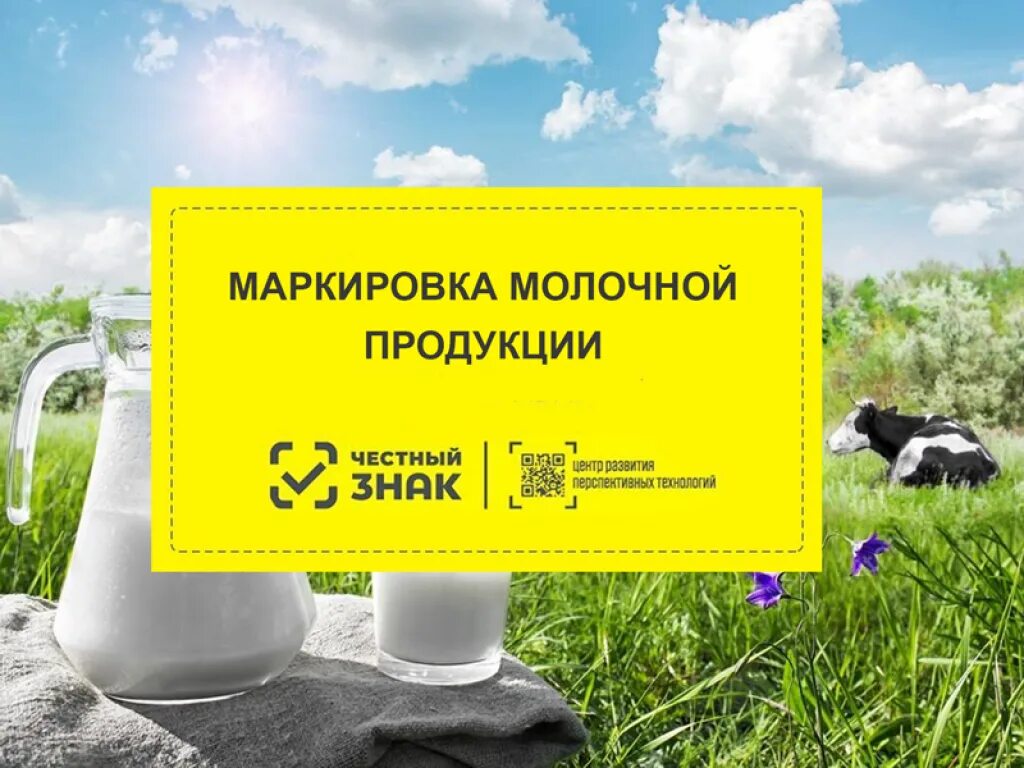 Маркировки молочной продукции средствами идентификации
