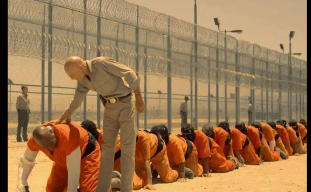 человеческая многонодна3. человеческая многоножка многоножка. сороконожка 3. человеческая многоножка фильм 1. сороконожка 3.