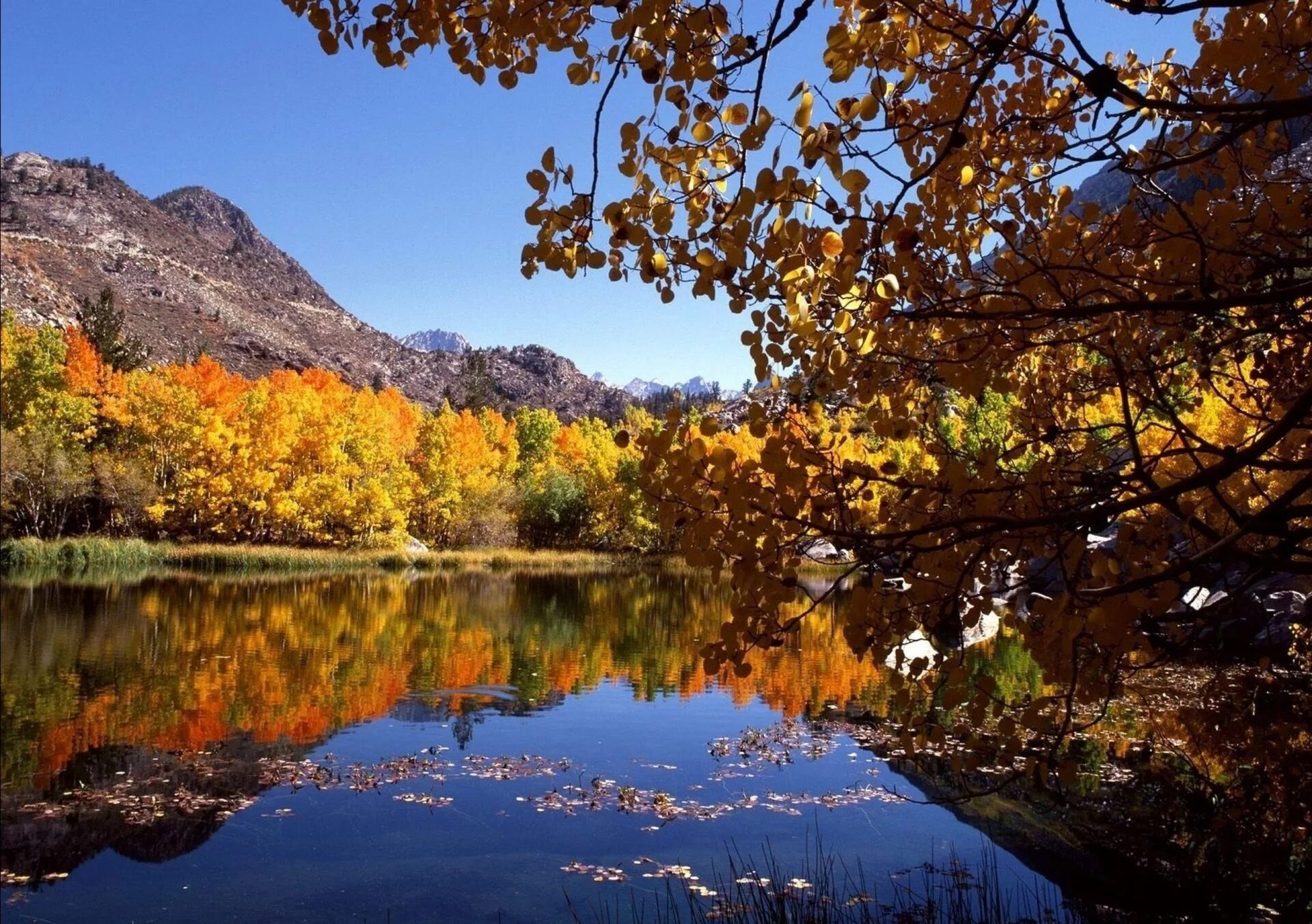 Былым осенью. Осенняя природа. Природа осень. Красивая осень. Осеннее озеро.