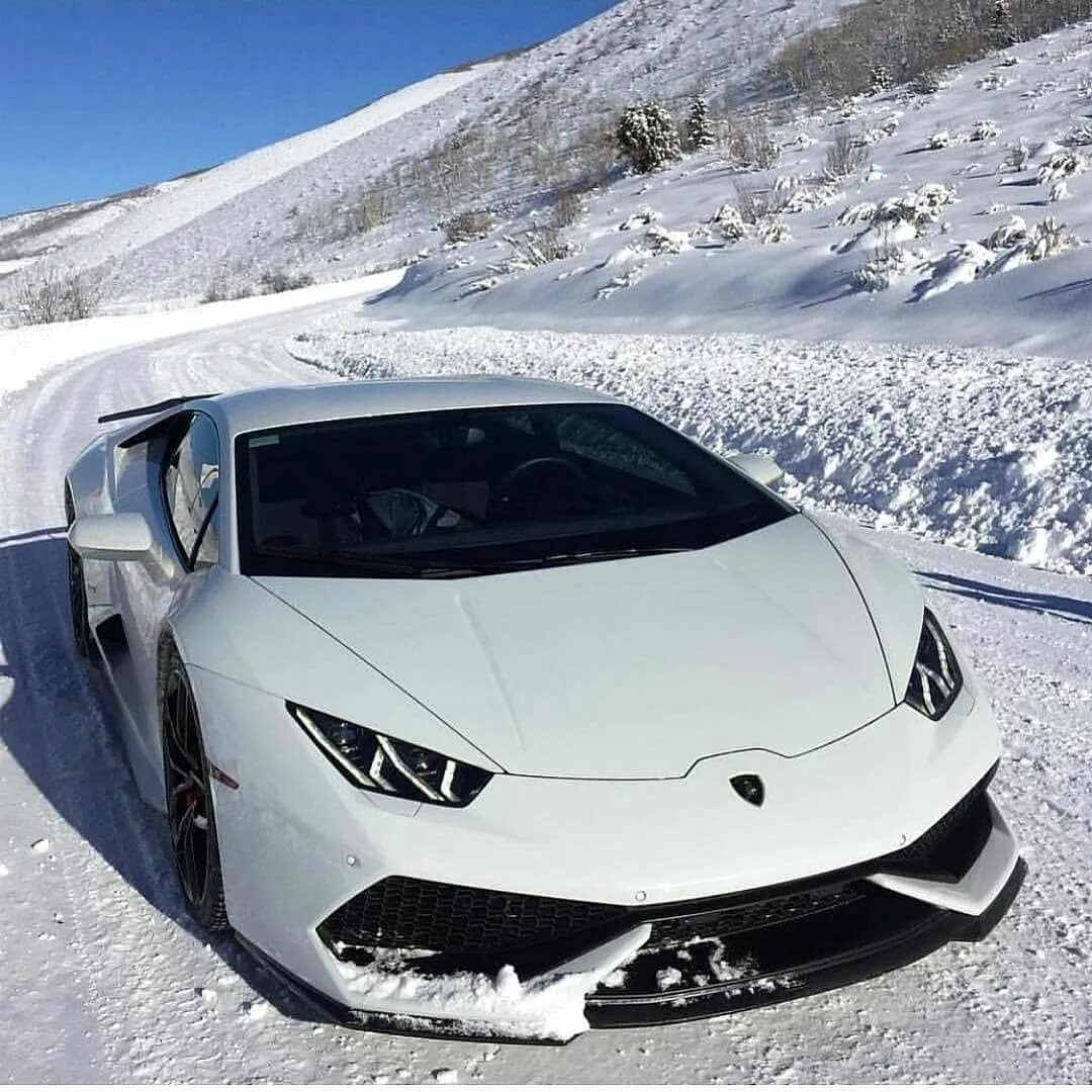 Ламборгини зимой. Lamborghini white. ламборджини белая. ламборджини зимой. суперкары зимой.