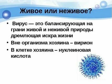 Вирус неодушевленное