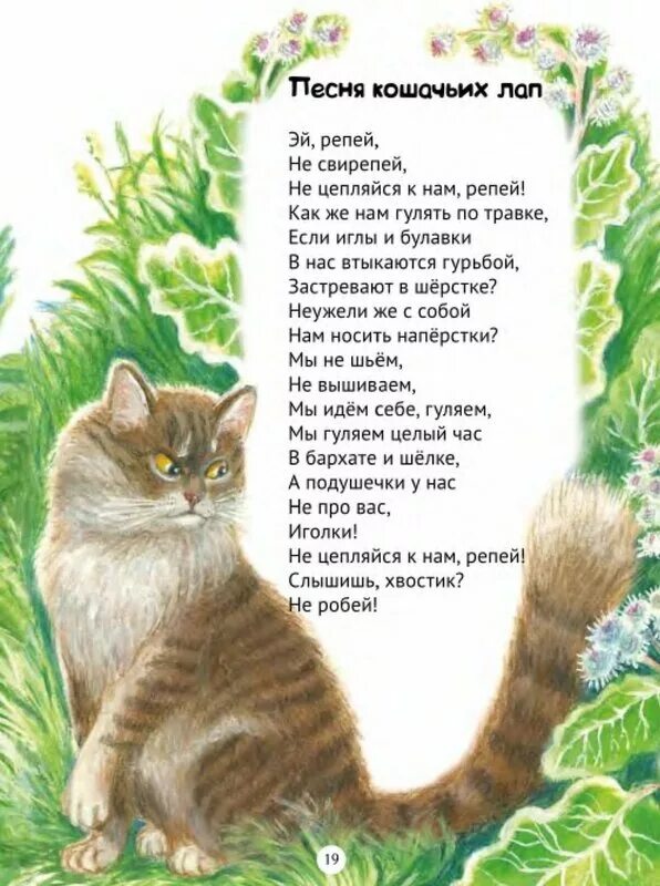 Детские песенки кошка. Песенка про кота. Чучело-мяучело. Стишок про кошку на заборе.