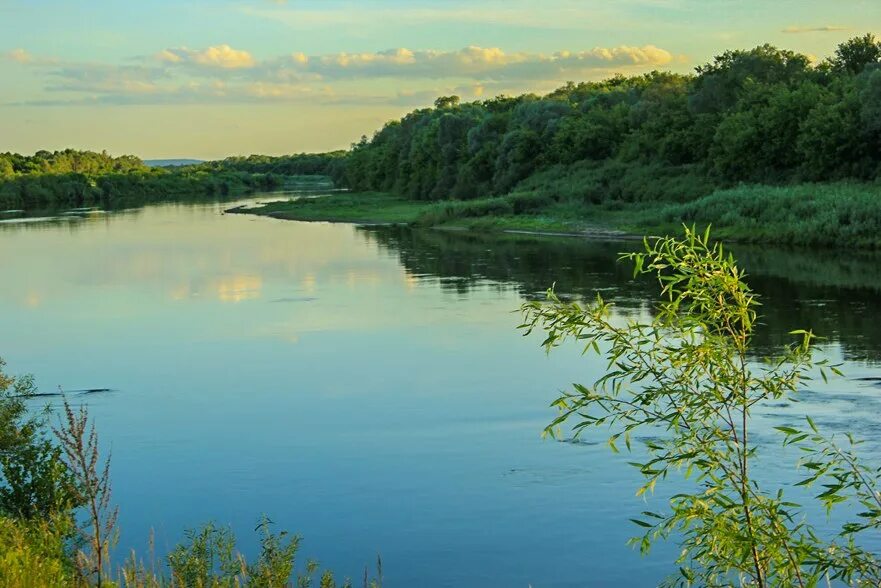 Сура приток волги. Река сура в мордовии. река сура нижегородская область. река сура приток волги.