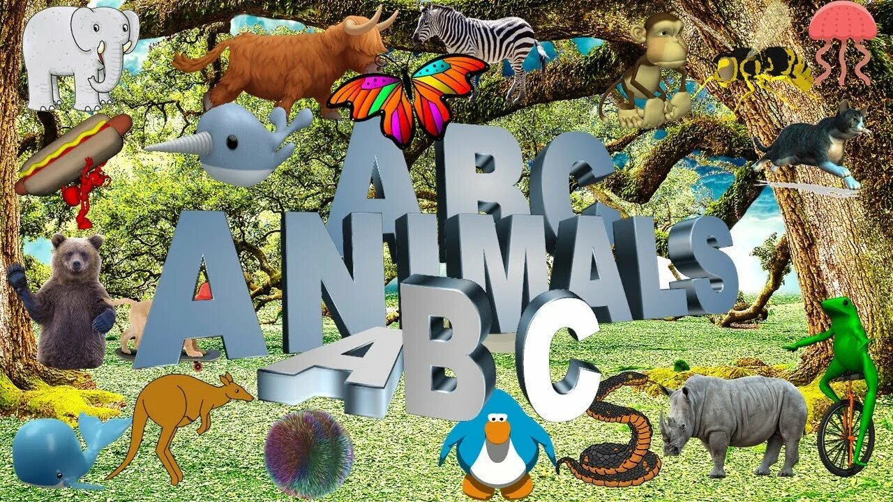 Abc animals. Animal abc. an alphabet of animals. animal alphabet song. abc animals alphabet.