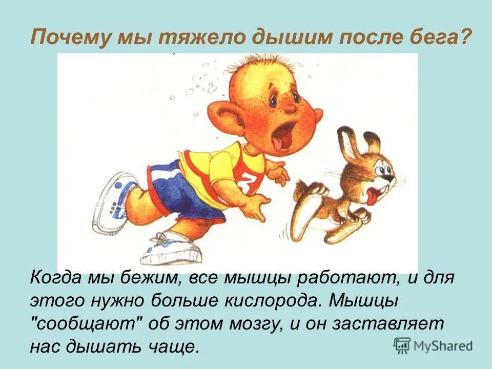 Сотни быстр. Зачем мы дышим биология. Люди не любят правду цитаты. Зачем мы дышим. Почему становится трудно.