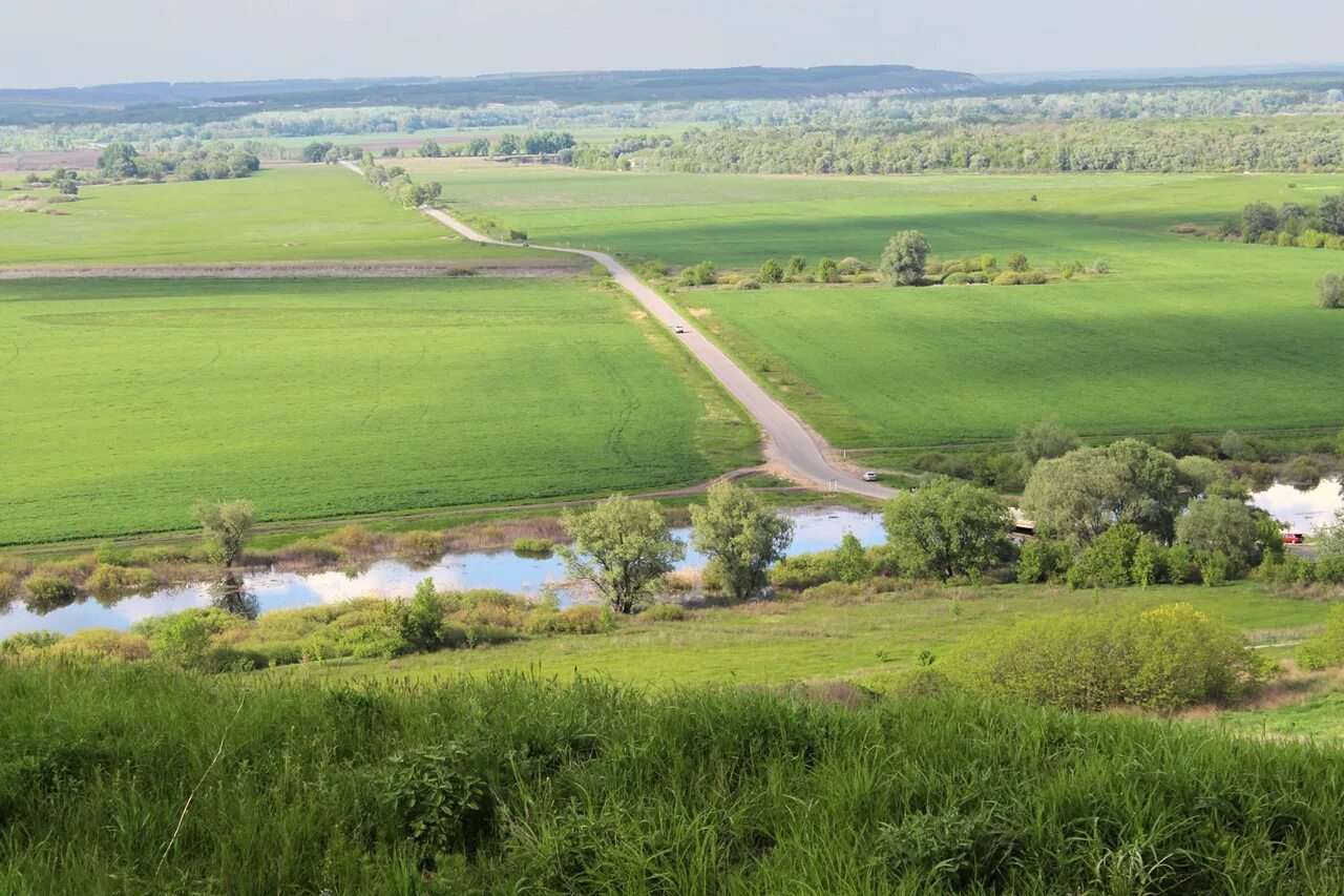 Село нова. Новая Калитва Россошанского района Воронежской области. Новая Калитва село река Дон. Миронова гора новая Калитва. Миронов гора новая Калитва.