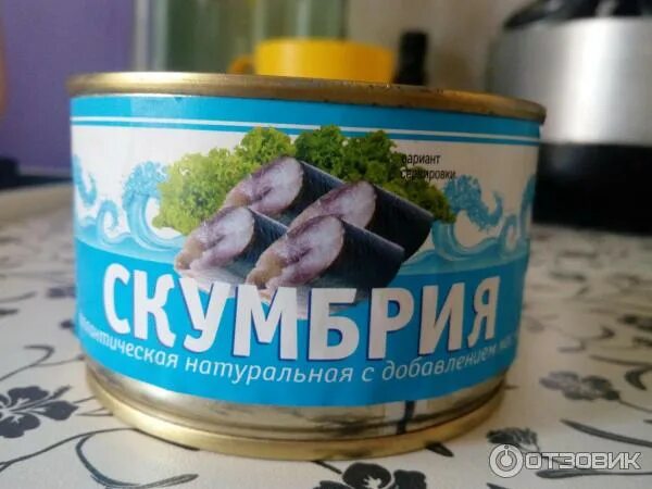 Фиш плюс. Фиш плюс. Балт фиш плюс. Балт фиш плюс шпорты. Балт фиш плюс.