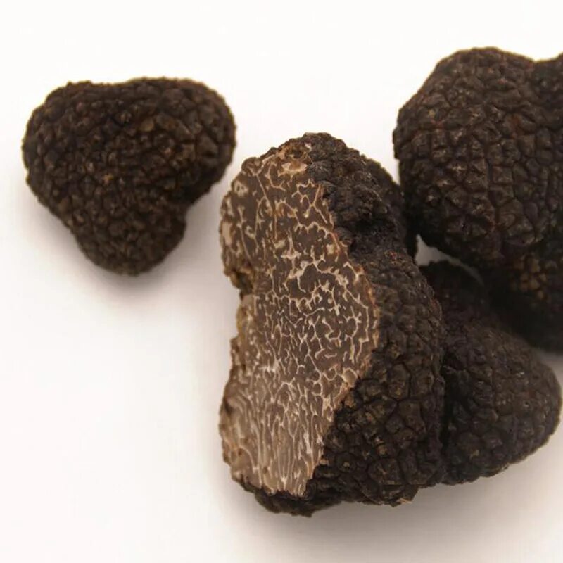 Трюфель белый российский. Деликатесный гриб трюфель. Гриб черный трюфель. Трюфель (грибы). Трюфеля грибы сколько.