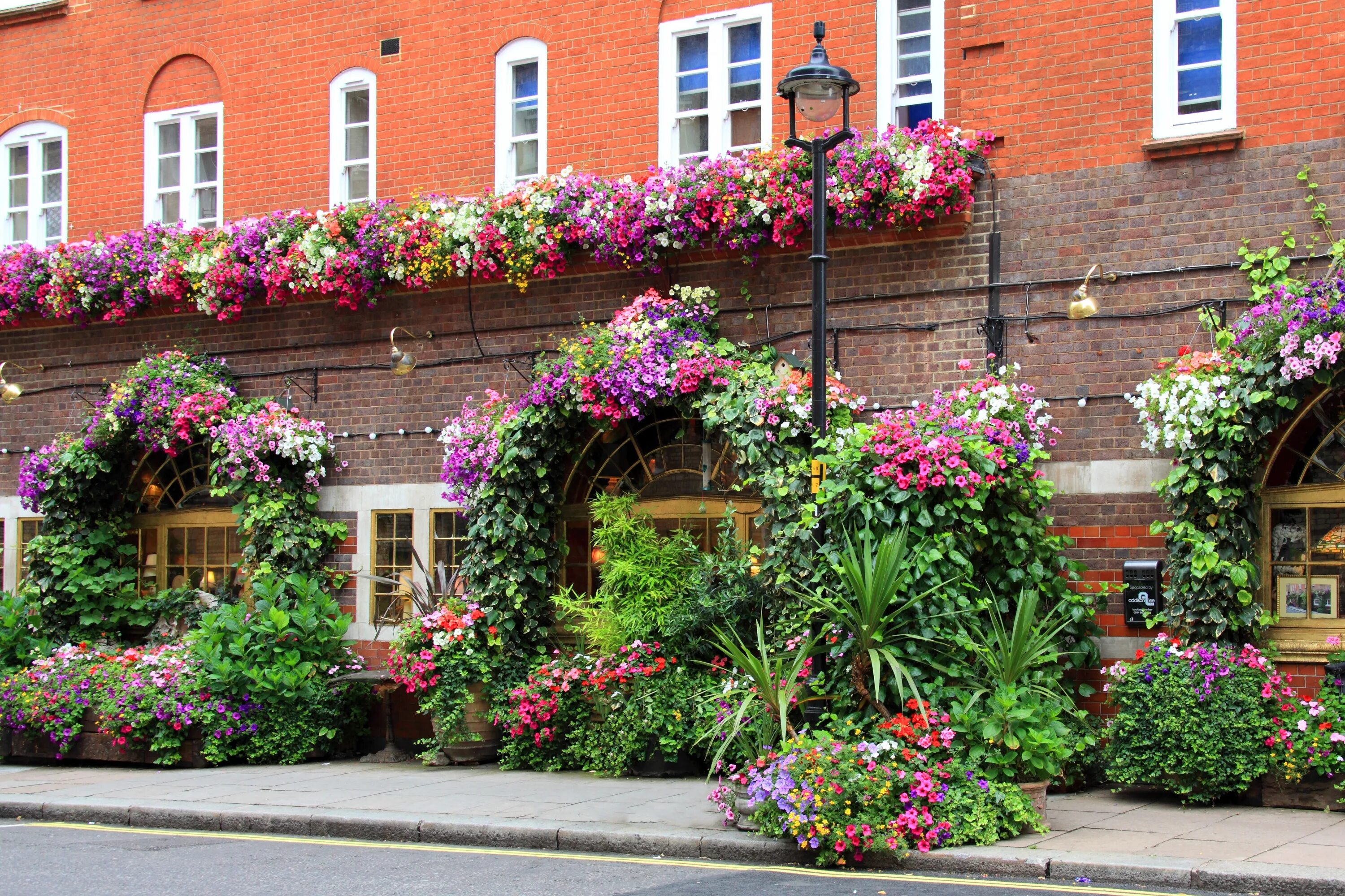 Street of flowers. Цветочные здания. Здание с цветами. Цветочная улица. Старинные здания в цветах.