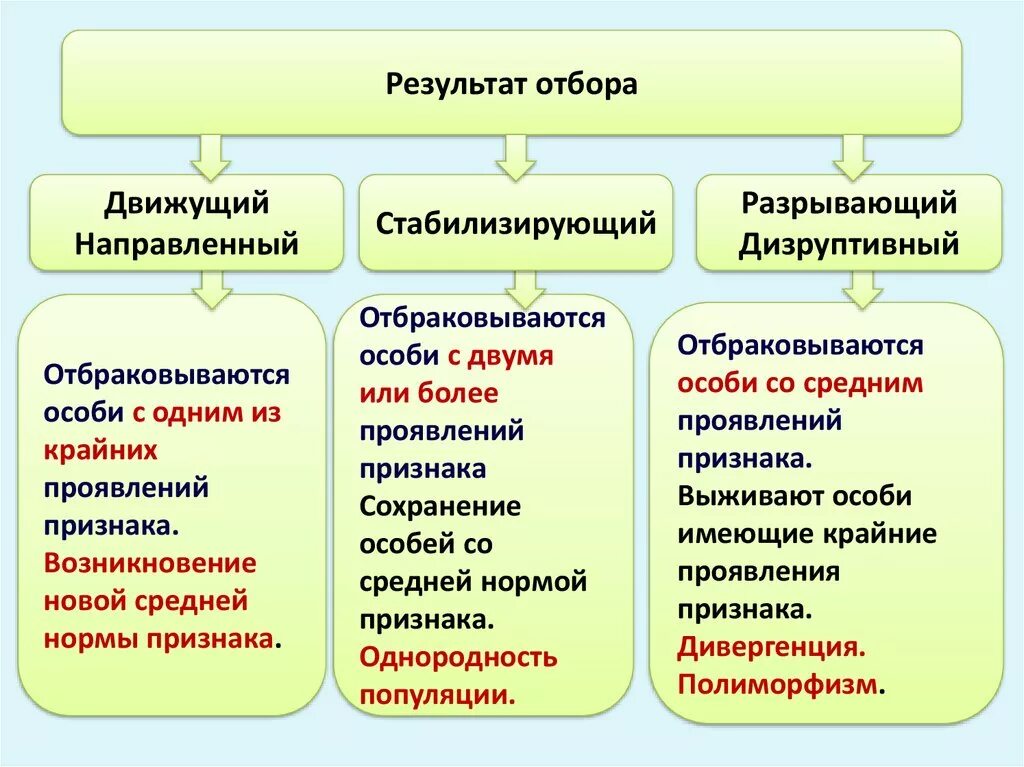 Схема классификации естественного отбора. Движущая стабилизирующая и дизруптивная форма естественного отбора. Факторы естественного отбора ЕГЭ биология. Формы естественного отбора таблица ЕГЭ.