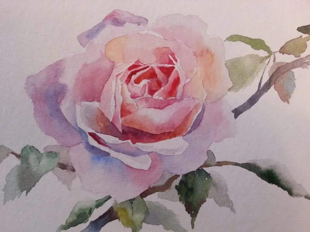 Акварельные розы. Цветы акварелью для начинающих. Розы рисунок акварелью.