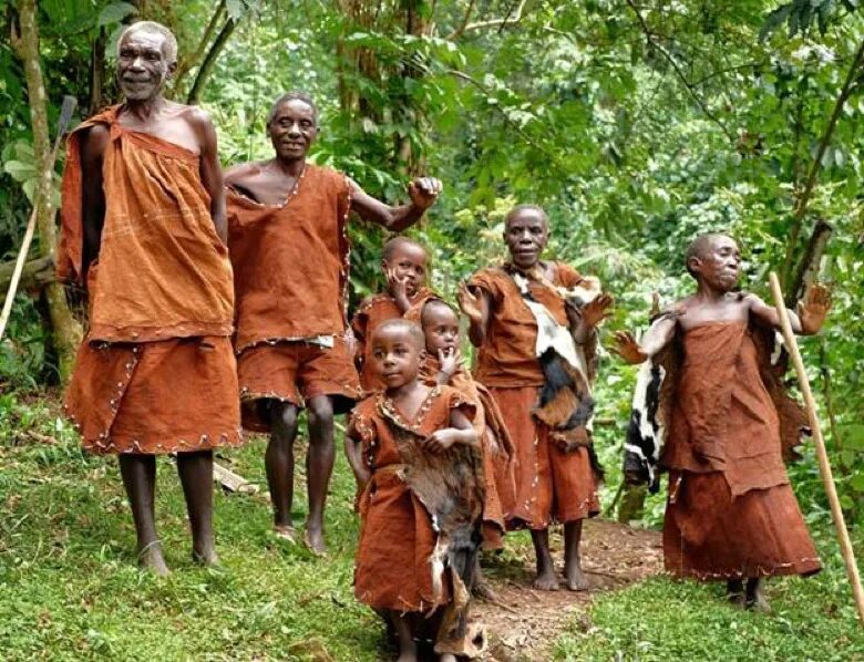 Люди живущие в экваториальном климате имеют уплощенный. Племя пигмеев. Пигмеи центральной Африки.