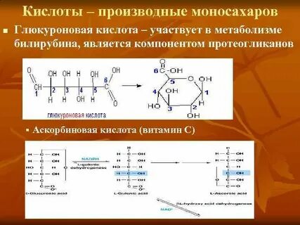 Роль глюкуроновой кислоты