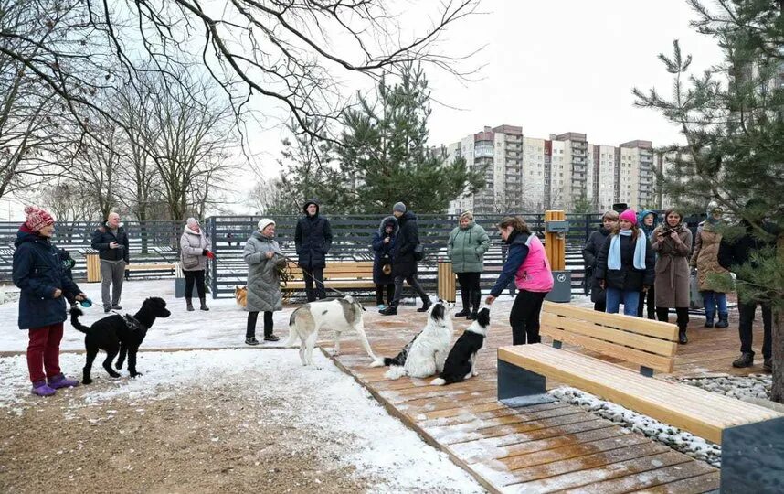 Выгул собак в петербурге. Собачья площадка на карпатской. кинологическая площадка. современные собачьи площадки. кинологическая площадка для собак.