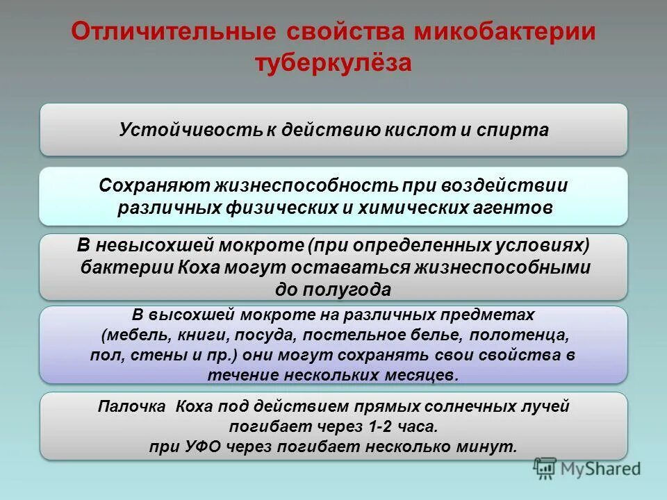 компьютерное тестирование в школе. схема аккредитации медицинских работников. этапы первичной аккредитации. аккредитация фтизиатрия. аккредитация медицинских специалистов.